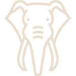 卒業生の声 elephant
