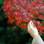 卒業生の声 takashina