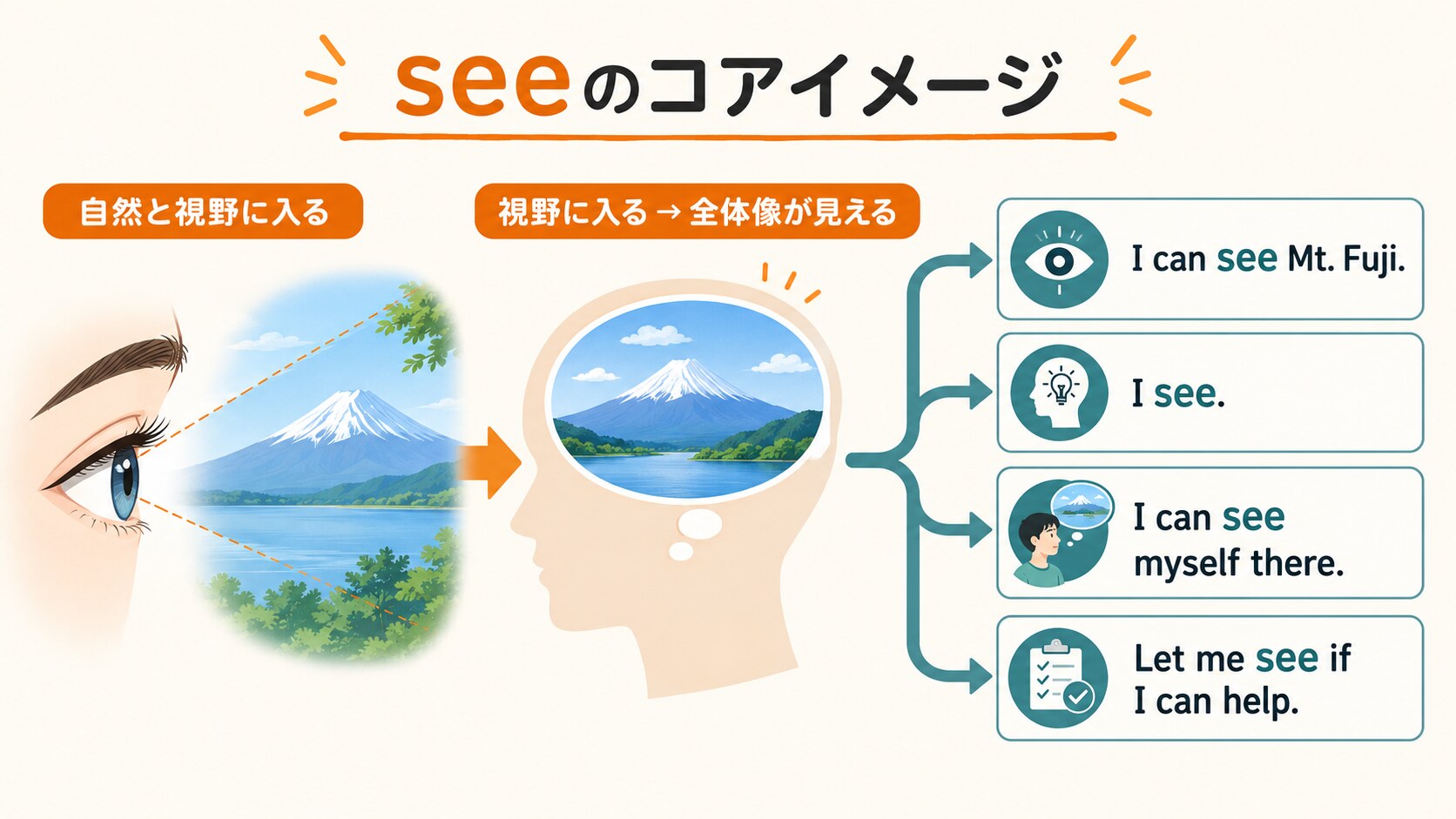 seeが自然と視野に入る感覚から理解・想像・確認へ広がる流れの図解