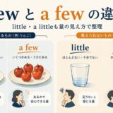 few・a few・little・a littleの違いを数えられるものと数えられないもので整理した図