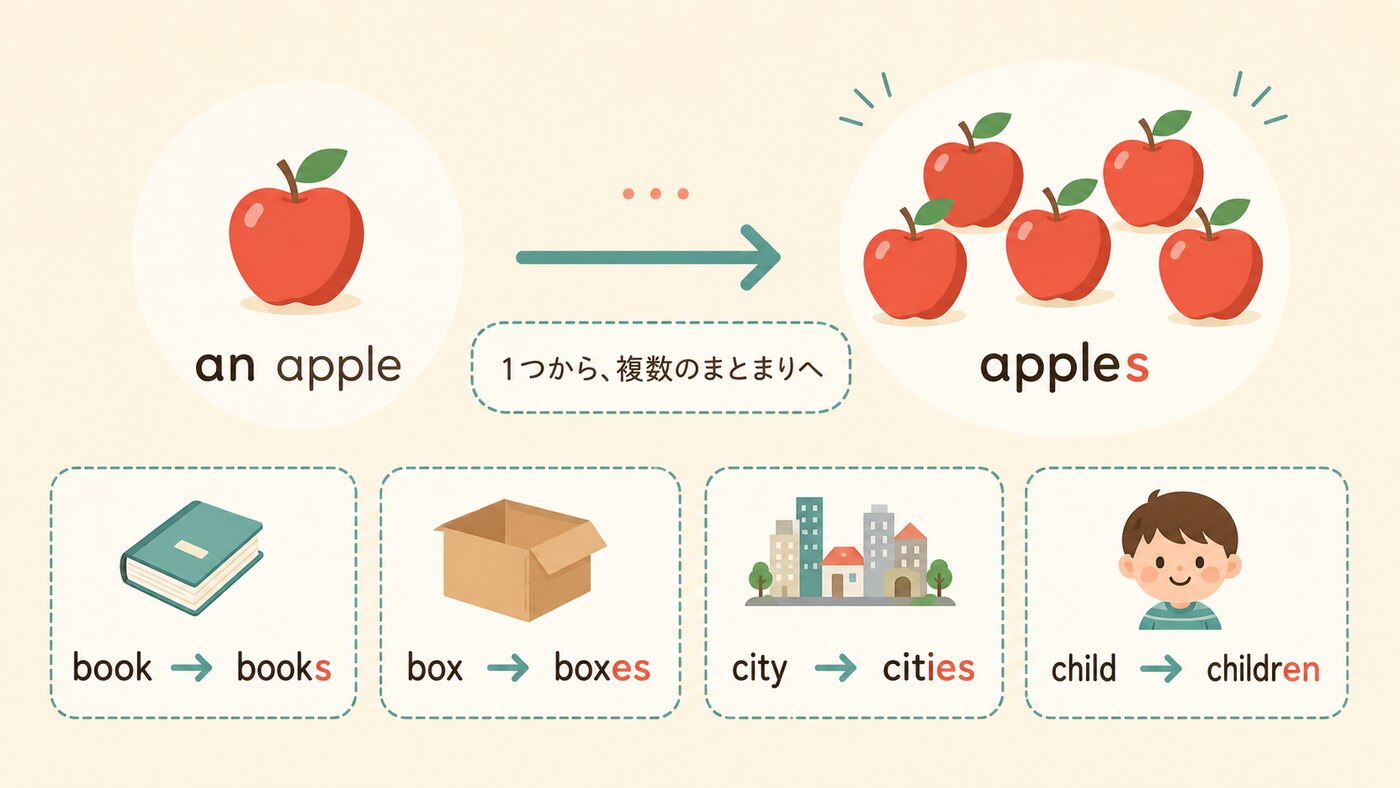 複数形は、1つの物を複数のまとまりとして捉え直す