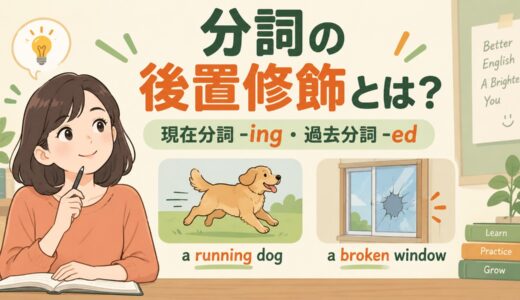 分詞の後置修飾とは？現在分詞・過去分詞の違いと語順を例文解説